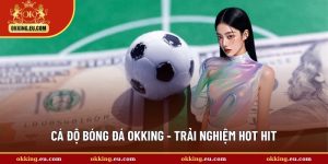 cá độ bóng đá