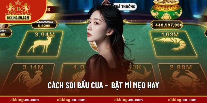 cách soi bầu cua