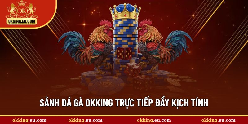 Sảnh đá gà trực tiếp đầy kịch tính
