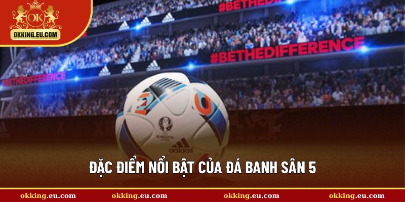 Đá banh sân 5 cùng một số đội hình phổ biến