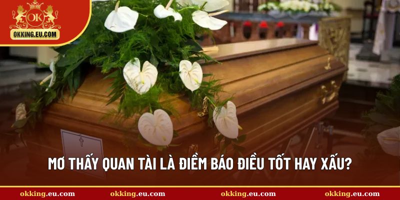 Giải mã chung về việc mộng quan tài