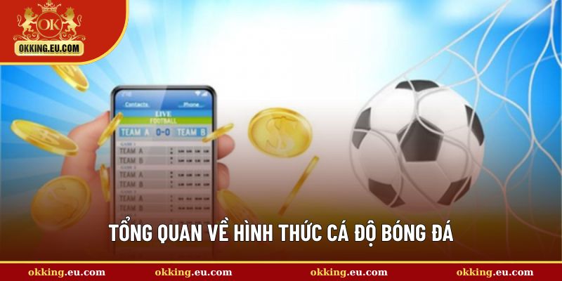 Sơ lược về cá độ bóng đá tại OKKING