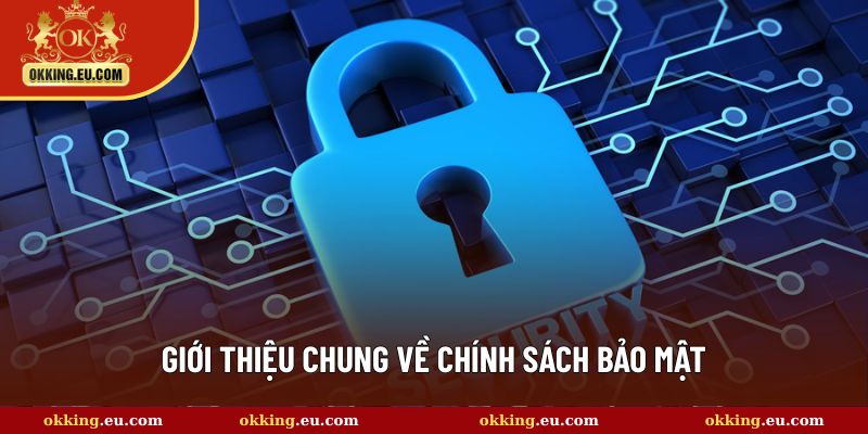 Tổng quan về chính sách bảo mật OKKING