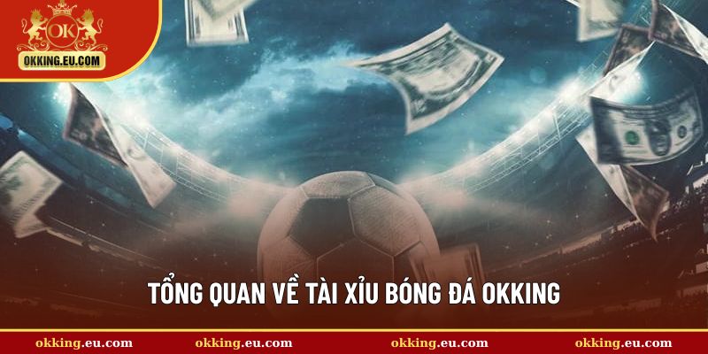 Giới thiệu chung về hình thức cược tài xỉu bóng đá