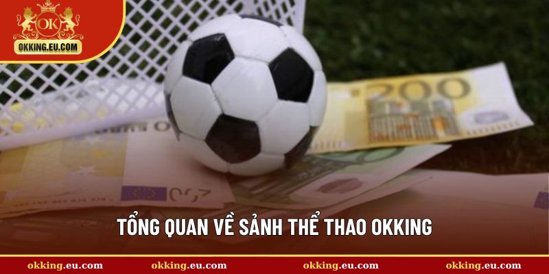Giới thiệu chung về thể thao OKKING