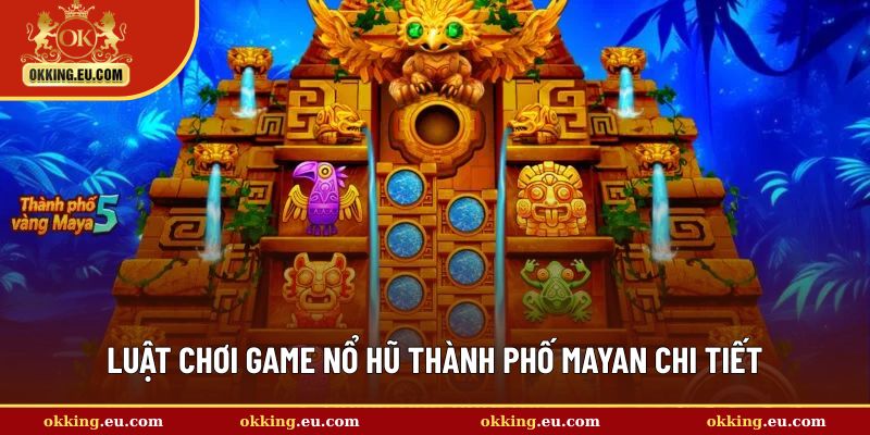 Nguyên tắc cá cược chi tiết cho người mới