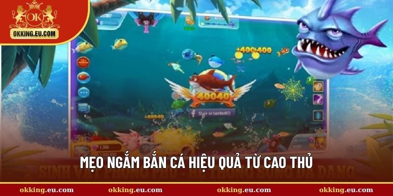 Mẹo ngắm bắn cá hiệu quả từ cao thủ