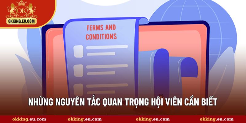 Những quy định chính người chơi cần biết